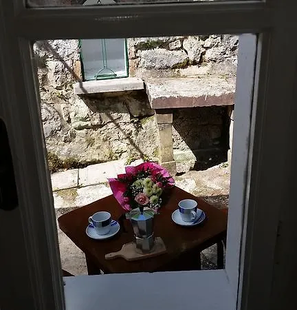Mediterranean *
